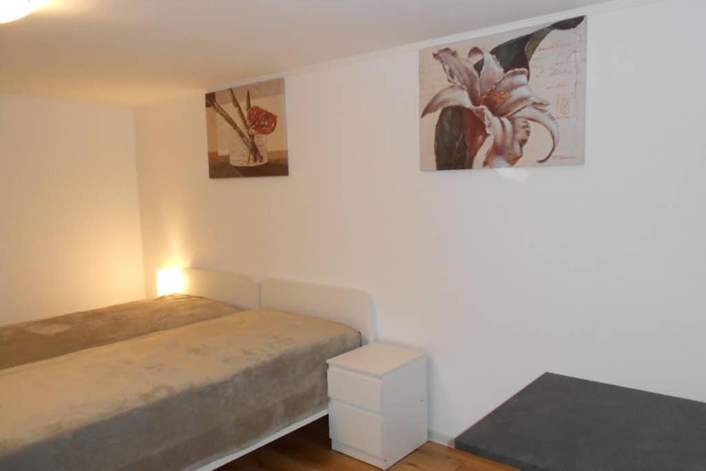 Zimmer In Direkter Naehe Zu Basel เกร็นซ์อัค-วีเลน ภายนอก รูปภาพ